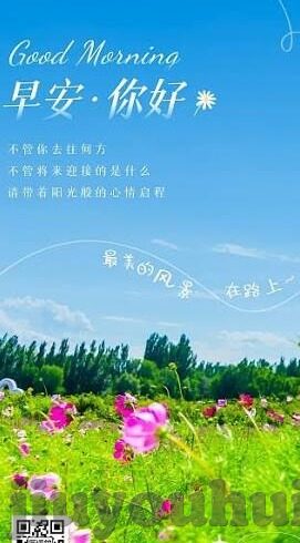 90足球新比分网-90足球新比分网,球迷的实时数据乐园与赛事分析新阵地