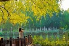 足球混合比分-足球混合比分,一场数字与激情的完美碰撞